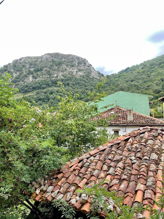 カレニャ・デ・カブラレスPiso San Andres - Picos De Europaアパートメント エクステリア 写真